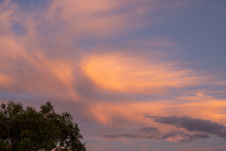 03-20250314-_DSC2990.jpg
