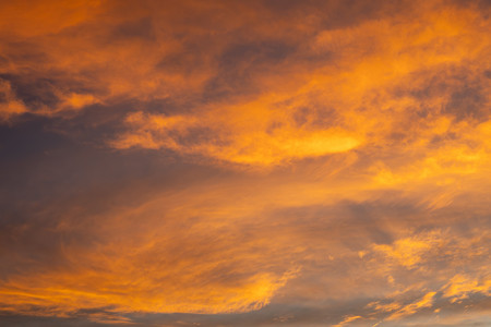 04-20250314-_DSC2998.jpg