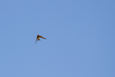 06-20250405-DSC03929.jpg