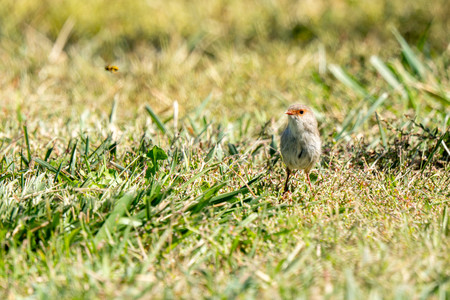 09-20250405-DSC04100.jpg