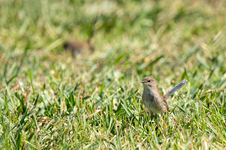 12-20250405-DSC04115.jpg