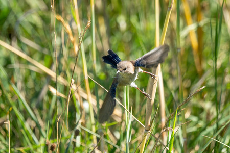 15-20250405-DSC04131.jpg