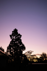 11-20250430-R0003544.jpg