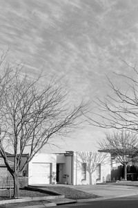 12-P6010020-positive.jpg