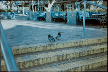 09-P5100054-positive-2.jpg