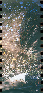 03-P5100022-Pano-positive.jpg