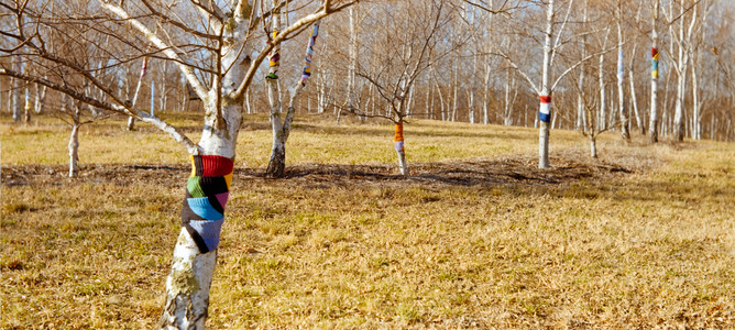 fs-pano-11.jpg