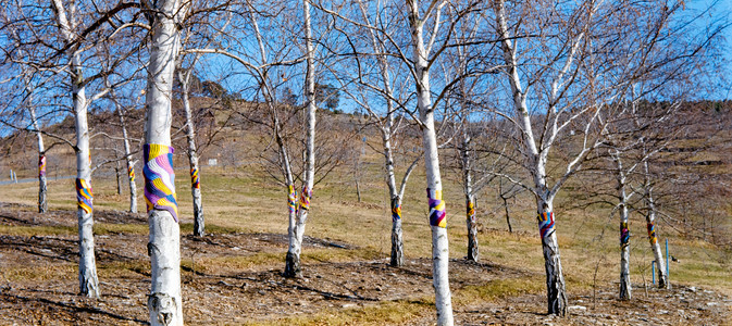 fs-pano-14.jpg