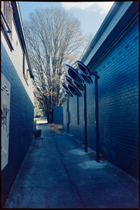 007-PCAF53-Kodak_Vision3_500T.jpg