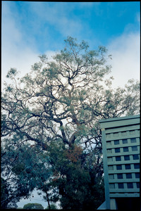 010-PCAF53-Kodak_Vision3_500T.jpg