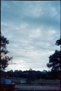 021-PCAF53-Kodak_Vision3_500T.jpg