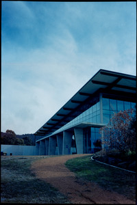 029-PCAF53-Kodak_Vision3_500T.jpg