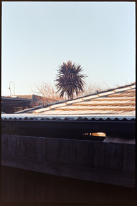 02-7060009.jpg