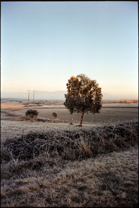 10-7060034.jpg