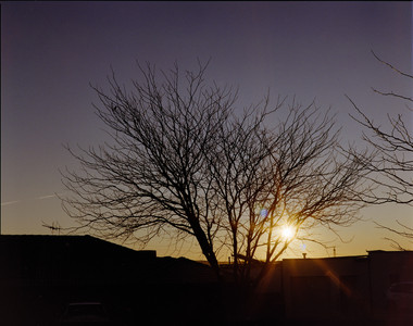 02-august-2025-kodak-gold-200-bronica-etrs.jpg