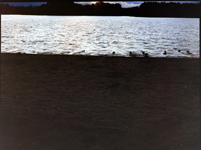 15-august-2025-kodak-gold-200-bronica-etrs.jpg
