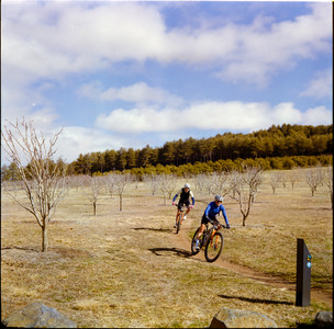 03-20250803-123046-kodak_gold_200.jpg