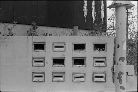 02-20250608-084428-kodak_tmax_400.jpg