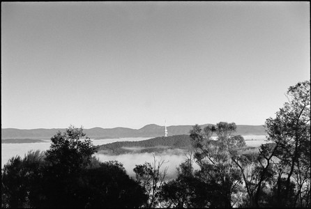 08-20250705-082355-kodak_tmax_400.jpg