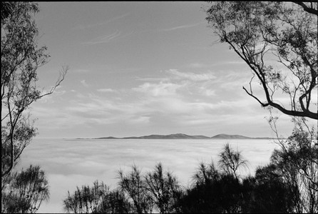 09-20250705-082410-kodak_tmax_400.jpg