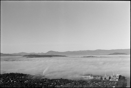 11-20250705-083008-kodak_tmax_400.jpg