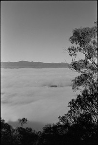 12-20250705-083222-kodak_tmax_400.jpg