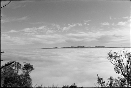 13-20250705-083839-kodak_tmax_400.jpg