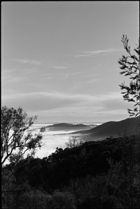 14-20250705-083855-kodak_tmax_400.jpg