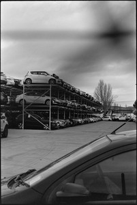 19-20250809-110804-kodak_tmax_400.jpg
