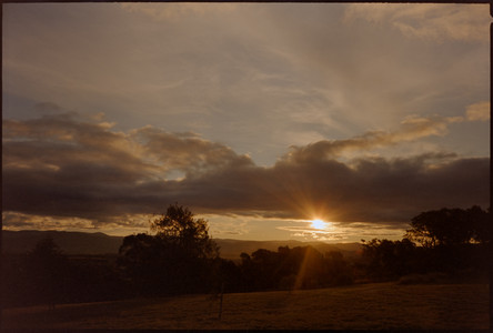 17-august-2025-kodak-vision3-250d-ricoh-tf-900.jpg