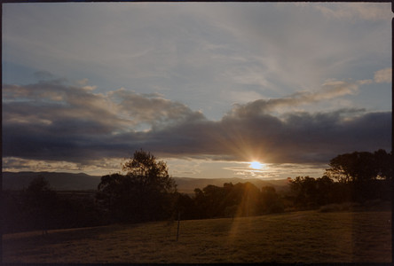 18-august-2025-kodak-vision3-250d-ricoh-tf-900.jpg
