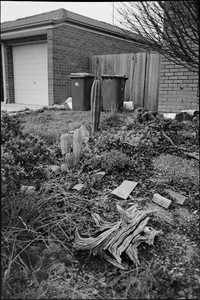 04-august-2025-ilford-xp2-super-400-pentax-pc35af.jpg