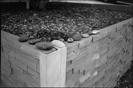 05-august-2025-ilford-xp2-super-400-pentax-pc35af.jpg