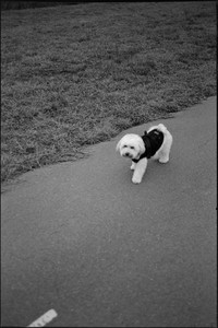 07-august-2025-ilford-xp2-super-400-pentax-pc35af.jpg