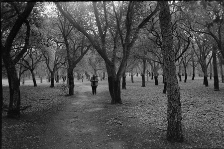 10-august-2025-ilford-xp2-super-400-pentax-pc35af.jpg